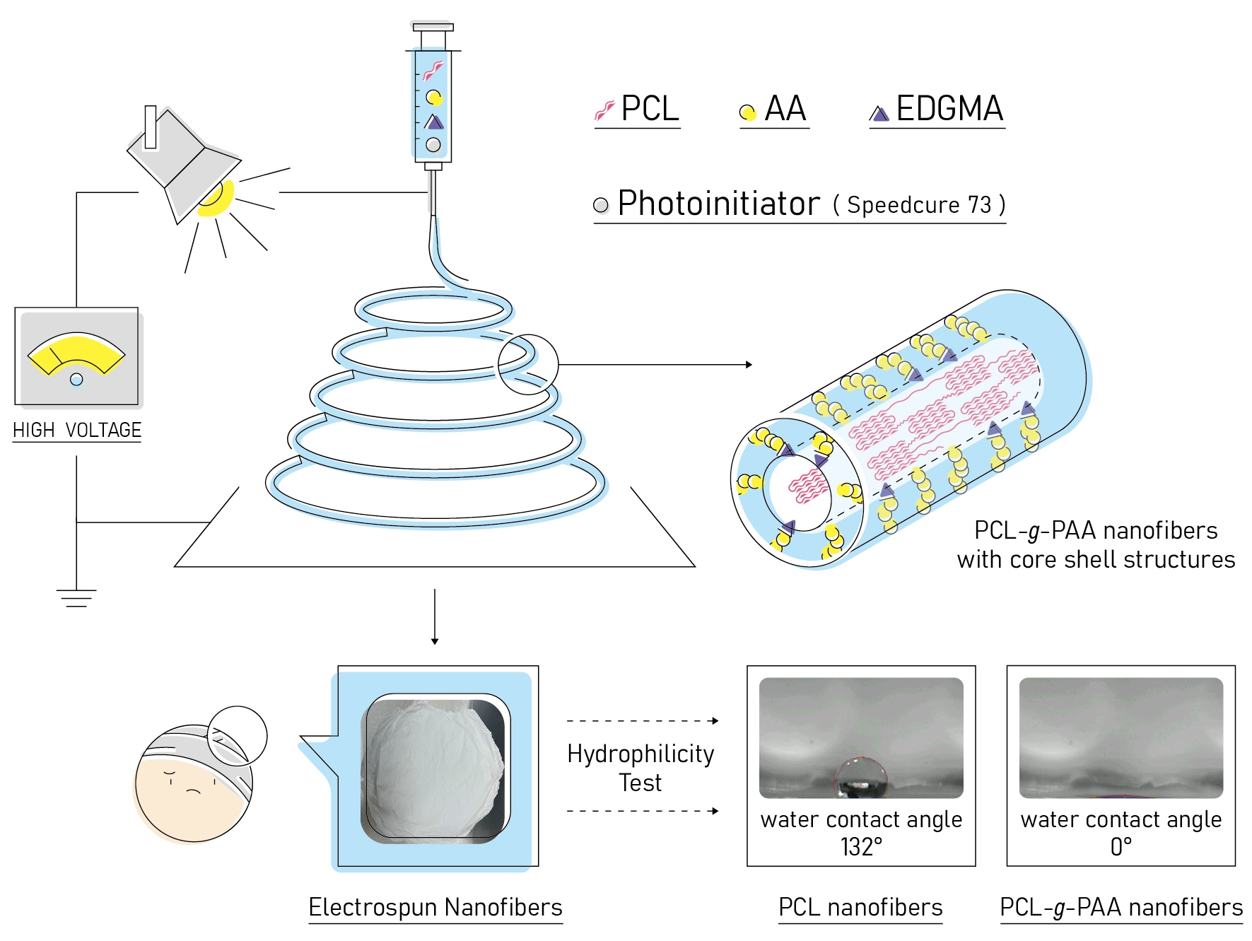 Graphical abstract for Microstructure and Biological Properties of Electrospun In Situ Polymerization of Polycaprolactone-Graft-Polyacrylic Acid Nanofibers and Its Composite Nanofiber Dressings
